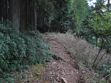20151021hike (119)